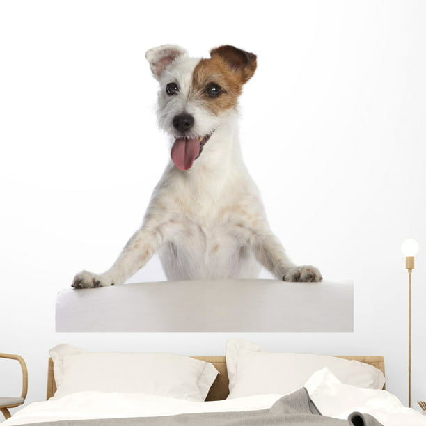 PERSONALISED dog breed POODLE bedroom animal pet Wall Art Vinyl Sticker V747